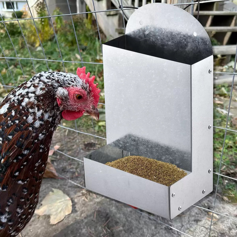 Poultry Feeding Metal Trough