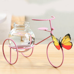 Creative Wrought Iron Hydroponic Vase Table Decoration